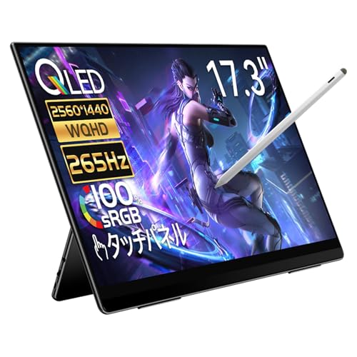Amazon.co.jp: EHOMEWEI モバイルモニター 265Hz 2K 17.3インチ QLED
