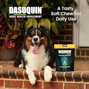 Nutramax Laboratories Dasuquin with MSM Joint Health Supplement for Small to Medium Dogs - With Glucosamine, MSM, Chondroitin, ASU, Boswellia Serrata Extract, and Green Tea Extract, 84 Soft Chews Nutramax Laboratories Dasuquin with MSM Joint Health Supplement for Small to Medium Dogs With Glucosamine MSM Chondroitin ASU Boswellia Serrata Extract and Green Tea Extract 84 Soft Chews