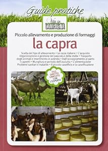 Piccolo allevamento e produzione di formaggi. La capra