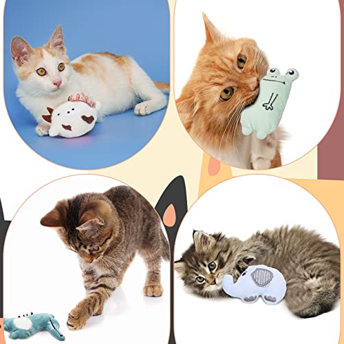 Jouets à mâcher interactifs en coton avec herbe à chat stimulante - 5