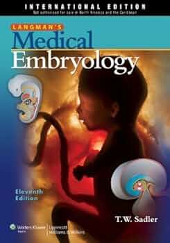 Langman&#39;s Medical Embryology [ペーパーバック] Sadler PhD， Dr. T.W. Langman's Medical Embryology: 9781496383907: Medicine