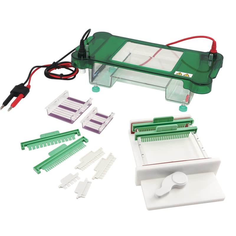 Horizontal Electrophoresis Machine/Apparatus for Gene Test DNA Molecular Diagnosis