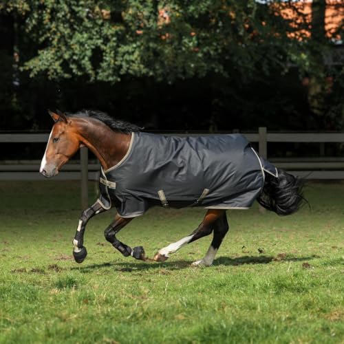 Couverture Bucas Freedom Turnout Light 0 g pour protéger le cheval de la pluie
