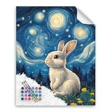 Paint by Numbers Kit Bunny, Rabbit Paint by Number, Starry Night Paint by Number, Grassy Field Canvas Without Frame, Cute Animal Acrylic Painting for Holiday Gift Home Decor(16x20inch)