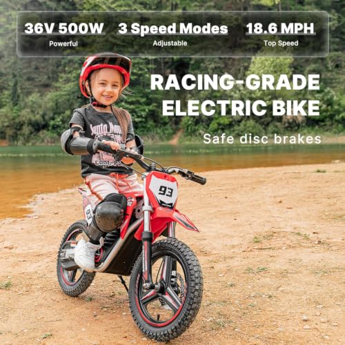 TUIBOKA 36V Electric Dirt Bike