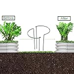Raised Garden Bed, Outdoor Galvanized Planter Boxes, Galvanized Garden Beds Outdoor with Metal Plant Stakes, Large Raised Garden Stock Tank, Garden Beds for Vegetables Planter 4×2×1ft - Image 3