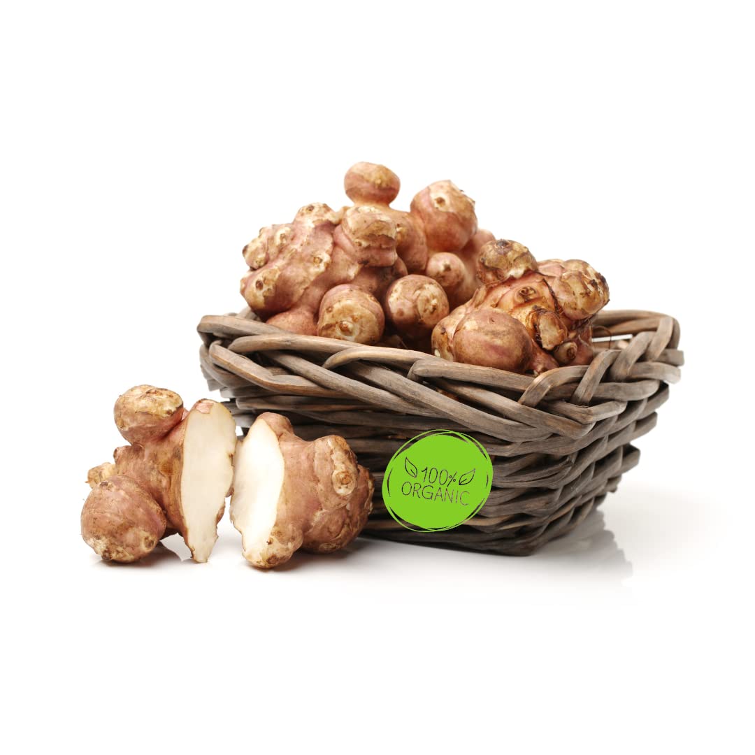 Topinambur | Frische Bio Topinamburknollen aus biologisch zertifiziertem Anbau (500 g)