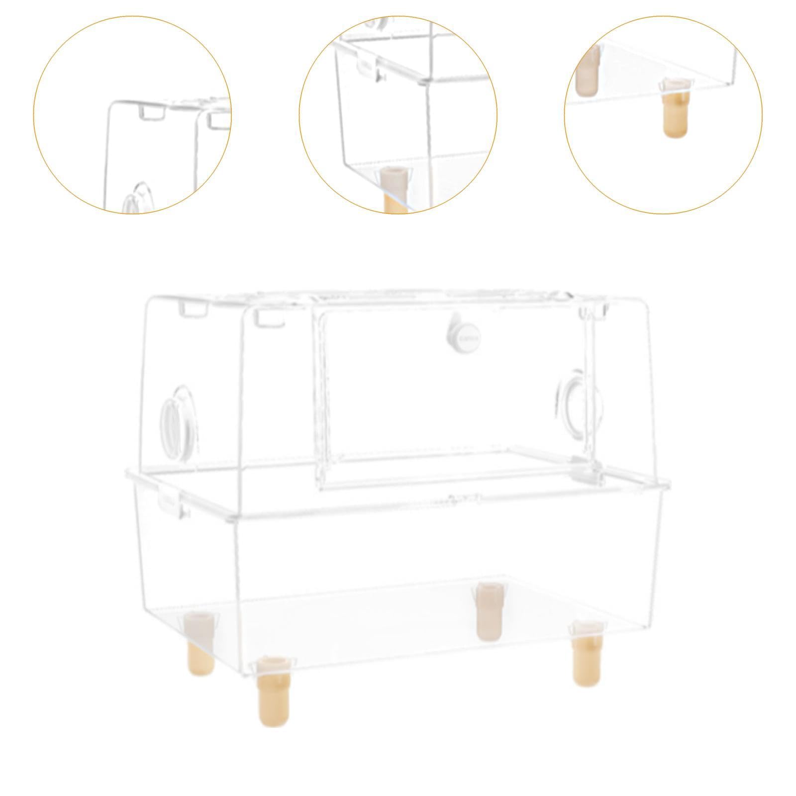 Homyl Jaula Transparente para Hámster, Hábitat Transparente para Hámster, Erizo, Jerbos Y