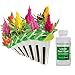 AeroGarden Rainbow Fire Seed Kit (7-Pod)