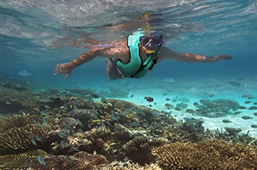 Image of NAXER Inflatable Buoyancy Jackets Snorkel Vests for Adults Kayak Kayaking Snorkeling Suit 90-200 lbs Easy Swimming Boating Paddleboarding Water Sports