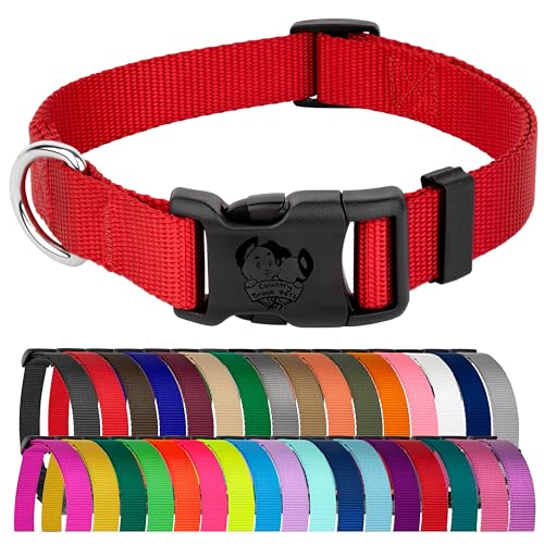 Country Brook Everyday Nylon Collar
