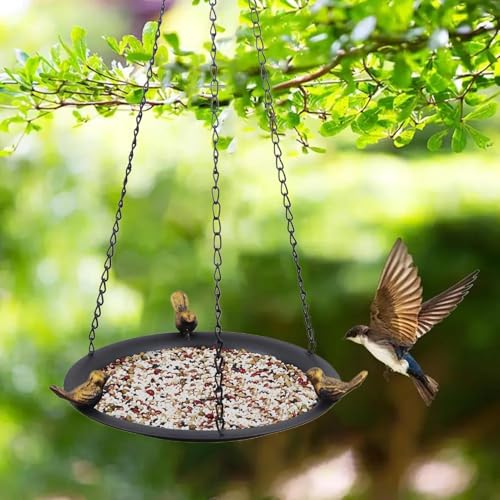 Plateau d'eau résistant aux intempéries pour abreuver les oiseaux