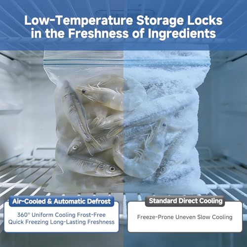 Image of BODEGACOOLER 23 Cu.Ft Reach-in Freezer, Stainless Steel Single Door -10℉-10℉ Commercial Upright Freezer for Restaurant, Cafe, Bar, Garage, Frozen Food Ice Cream Meat Storage