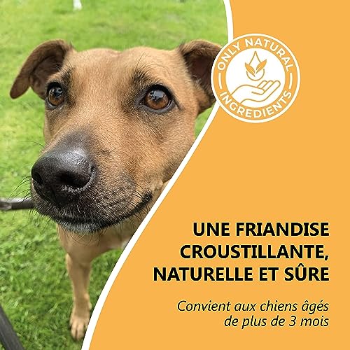 Pets Purest Pattes de Poulet pour Chiens - Friandises à Mâcher Pieds de Poulet Séchés à l'Air - pour Tous Les Ages, y Xompris Les Xhiots et Les Chiens Agés - Céréales Saines - sans Gluten ni Lactose - Image 3