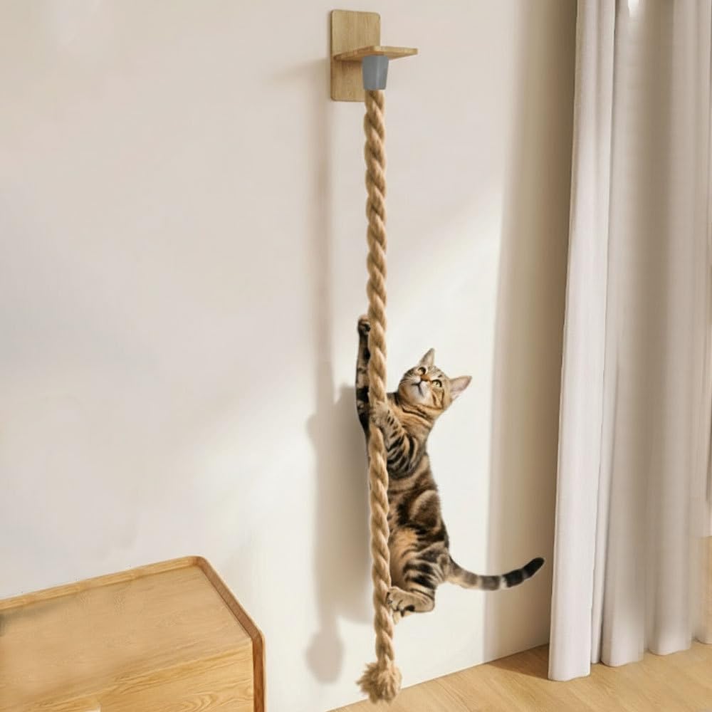 View 6
