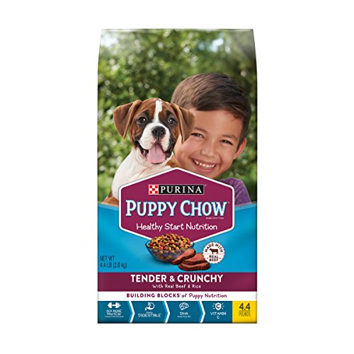 Best Dog Food for Goldendoodle Puppy to Buy in 2022 7 51EpTwcFdBL