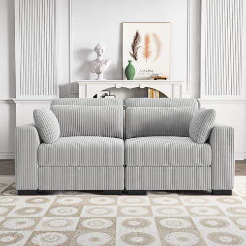 Sofá de 2 Plazas con Reposabrazos y Cojines, Sofa Chaise Longue, Sofá cama 3 plazas de Diseño Contemporáneo, Práctico y Funcional, Sofas Mobiliario para Salón, Apartamento, Oficina, Pana (Gris-1, A)