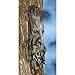 WHISPERING WILHELM TREE ENT PLAQUE