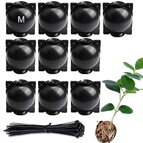Lazzineer Tree Root Growing Box Reusable Transparent Plants Asexual Reproduction Grafting Ball High Pressure Air Layering Pods Propagation Kit (10pcs Meidum)