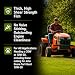 TRIAX Power 4-Stroke SAE 30 Full Synthetic Engine Oil (30W) - For Small Engines Garden Tractors & Power Equipment - High Zinc All Season Formula 0,946 L (1 Quart)