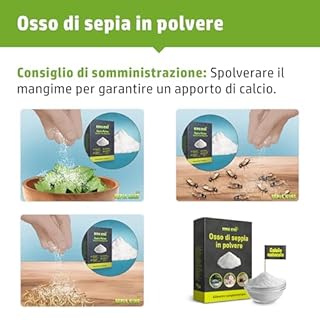 Sepia-King - Polvere di Osso di Seppia – Polvere di Calcio per Tartarughe, Drago Barbuto e Rettili – Ossa di Seppia Macinate – Spolverare Mangime e Insetti – Calcio per lumache – 50 g