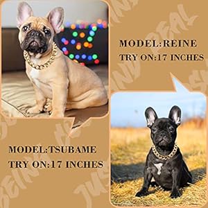 18K-Gold-Plated-Dog-Chain-Collar-34-Inch-20mm-Width-Cuban-Link-Durable-Dog-Necklace-Cute-Fashion-Pet-Collar-for-Pit-Bulldog-Light-Metal-Jewelry-Bold-Chain-Puppy-Accessories-17-inch-Gold - Cucciolini Doodles   18K-Gold-Plated-Dog-Chain-Collar-34-Inch-20mm-Width-Cuban-Link-Durable-Dog-Necklace-Cute-Fashion-Pet-Collar-for-Pit-Bulldog-Light-Metal-Jewelry-Bold-Chain-Puppy-Accessories-17-inch-Gold