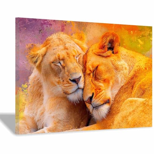 Tableau lion endormi jaune182 poster encadré 70x100cm pour déco salon
