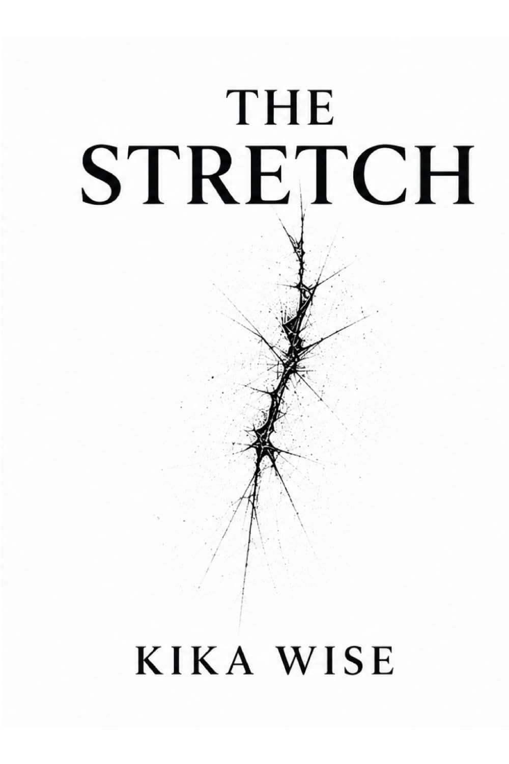 THE STRETCH: Faith, Fire, and the Rise of a Founder