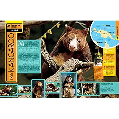 National Geographic Kids Animal Encyclopedia, 2nd Edition: 2,500 Animals with Photos, Maps, and More! (NGK Encyclopedias) Hardcover September 28, 2021
