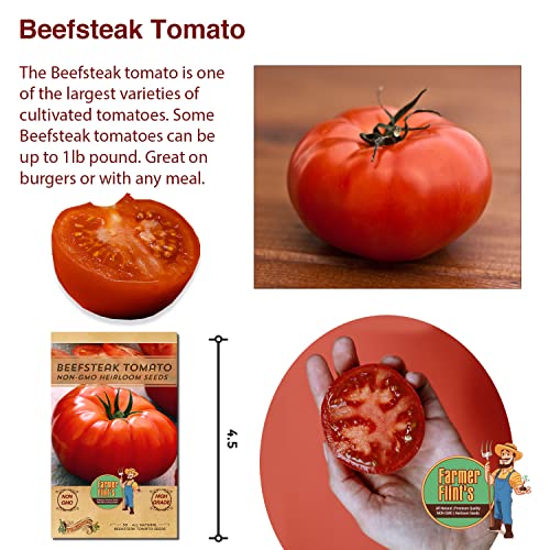 Beefsteak Tomato Seeds - All Natural/Non-Gmo Heirloom Beefsteak Tomato Seeds - Pack Of 50 Open Pollinated Vegetable Seeds For Planting Home Garden - Growing Instructions Included #TOP4