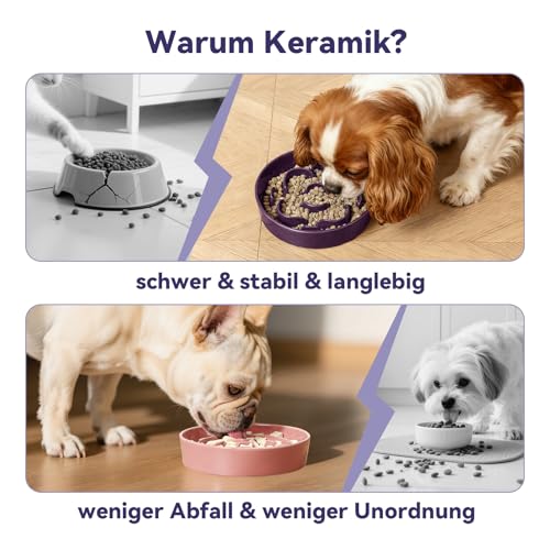 Anti-Schling-Futternapf Hund Keramik - Labyrinth Fressnapf für Trockenfutter & Nassfutter - Langsames Fressen für Kleine Hunde - 80 g - 16 cm - Lila