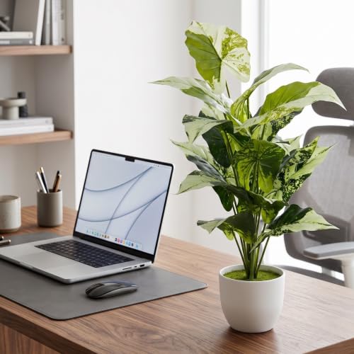 Image of Dekorly Fake Plants Artificial Floor Plants Large Tropical Palm Tree Tall Monstera in Pot for Indoor Outdoor Home. (Dump Cane | White Pot, Pack of One)