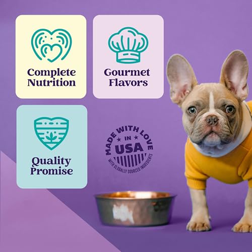 Image of A Strong Heart Wet Dog Food Variety Pack - Ribeye Cuts in Gravy & Chicken Rice Chopped Dinner | All Life Stages | Complete & Balanced | Real Beef & Chicken | Made in USA | 12-Pack