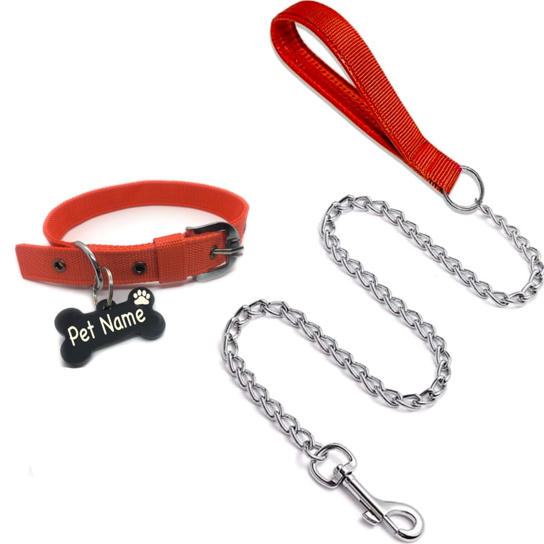 Personalized Name Tag ID Dog Collar and Leash Set for Dogs, from Large to Small Puppies (Small, Red) ?20L x 10W cms