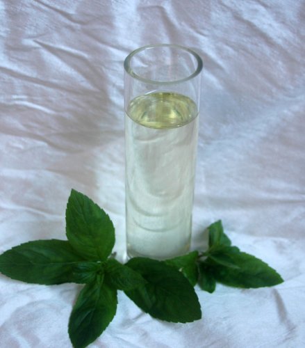 Preisvergleich Produktbild Pfefferminzöl naturrein 10 ml