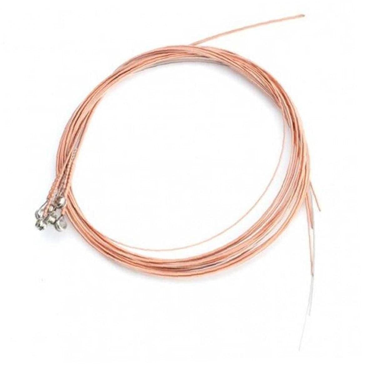 Pinicecore Acoustic Guitar Strings Steel Core, Copper Alloy Wound 1-6 For Classical Guitar Strings Steel Wire Acoustic Folk Guitar Parts Accessories 6Pcs