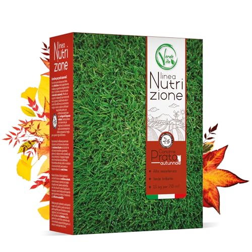 VerdeVita Concime Prato Autunnale 1,5 kg – Fertilizzante Specifico per Tappeti Erbosi fino a 70 m², Rinforzo Radici, Resistenza Invernale, Nutrimento Lento Rilascio
