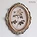 CISOO Vintage Oval Picture Frame 5x7 Antique Photo Frame Table Top Display and Wall Hanging Home Decor (Bronze Gold)