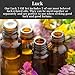 Luck Oil Set by Art of The Root | Includes Crown of Success, Fast Luck & Shi Shi Oils | Handmade with Herbs & Essential Oils | Wiccan, Hoodoo & Pagan | Manifestation, Goals & Luck Rituals