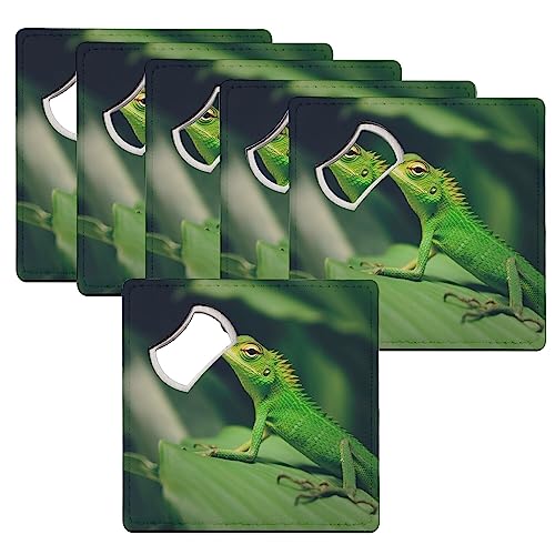 Sous verre décapsuleur reptile résistant aux taches table protégée lot de 6 - 2