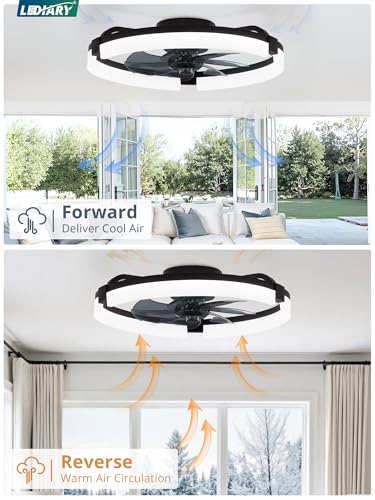 Image of LEDIARY 2 Pack 20 inch Ceiling Fans with Lights and Remote, Low Profile Ceiling Fan, 3 CCT, Stepless Dimmable, Fandelier Flush Mount Fan Light, 6 Speeds, DC Motor, App & Remote Control for Bedroom(Black)
