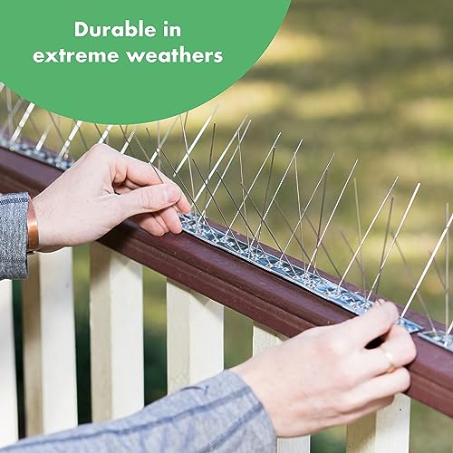 Bird Blinder BBSSS-1 Steel Bird Spikes For Pigeons And Other Small Birds thumb #6