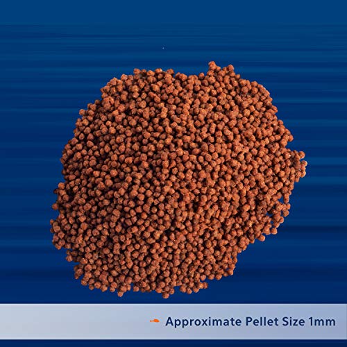 Aqueon 100539589 Pro Pellet Fish Food Betta Formula 1.4 Oz thumb #4