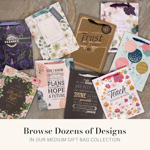 Image of Christian Art Gifts Large Gift Bag with Tissue Paper, Lord Bless You
