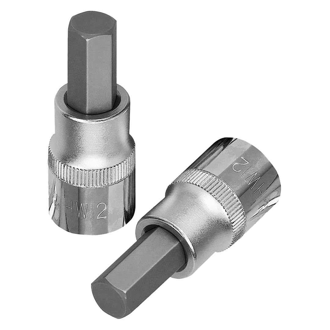 B K JAGAN & CO 1/2 Inch Drive Hex Bit Socket (1/2" x 19mm) 1
