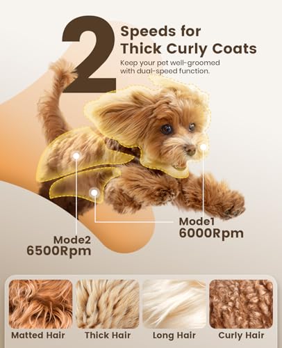 oneisall Dog Grooming Clippers for Thick Heavy Coats,Low Noise Cordless Dog Grooming Kit with Metal Blades, All Stainless Steel, 2 Speeds