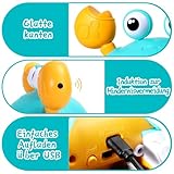 ECHOCUBE Interaktives Krabbelspielzeug, Interaktive Musikkrabbe, die automatisch Hindernissen ausweicht, Elektronische Musikkrabbe für Kinder Junge Mädchen ab 3 Jahren - Grün