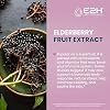 E2H Elderberry Syrup - Powerfull Antioxidants Supplement from Organic Elderberries Extract - Sambucus Elderberry Syrup for Kids & Adults for Immune Support - Non-GMO, Vegan - 2 Fl Oz