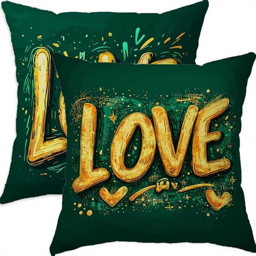 Housse coussin 65x65cm taie oreiller vert salon lot de 2