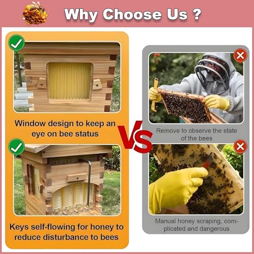 Kit d'apiculture complet de jardin pour observer les abeilles - 3